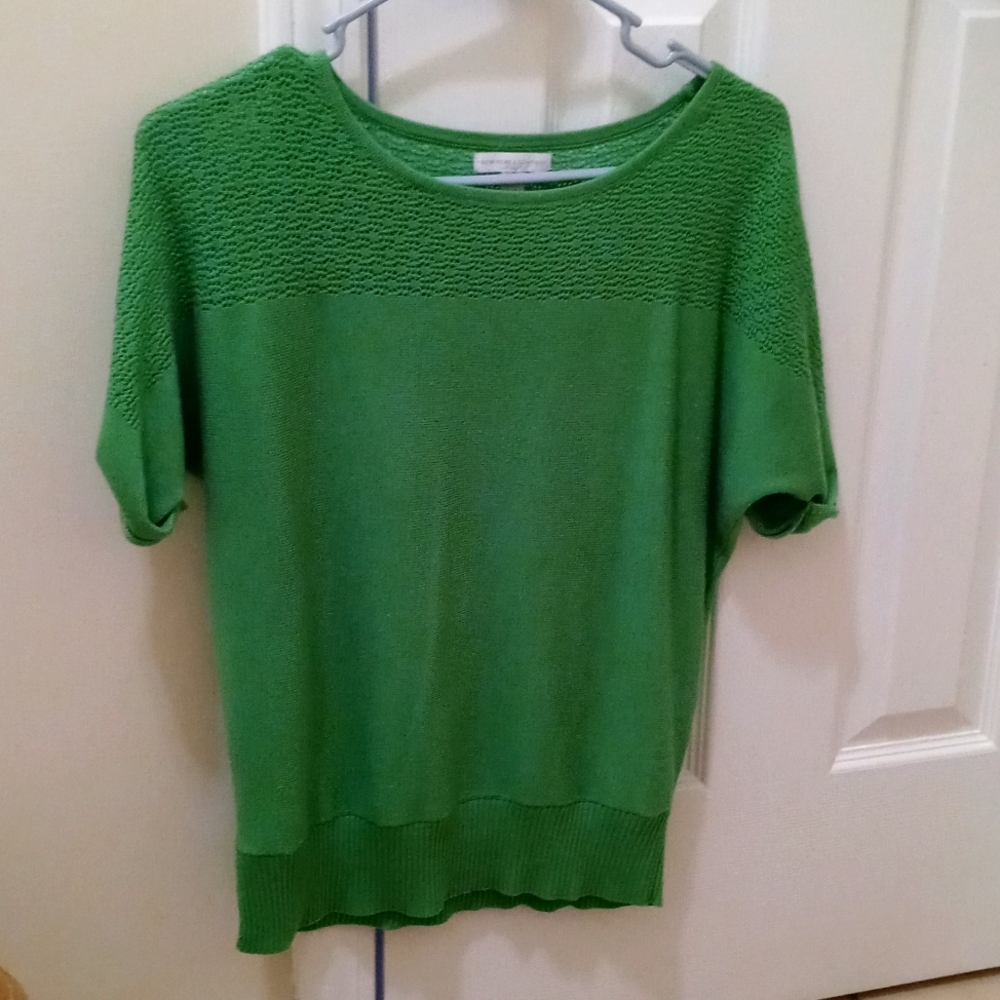 Beautiful Green Pointelle Short Sleeve Sweater